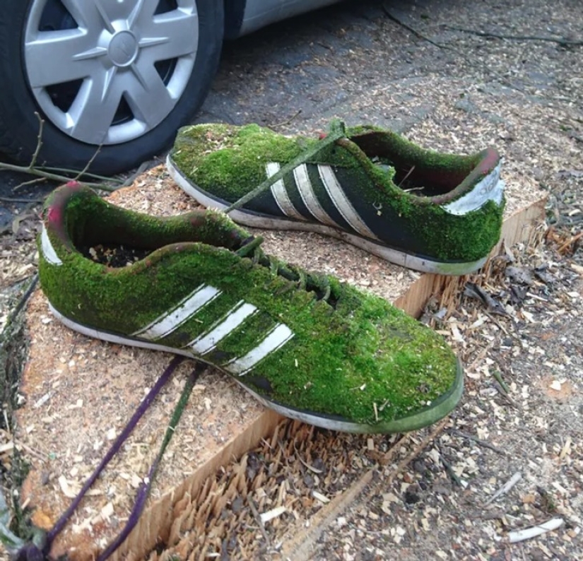 22 photos that prove that we live in the Matrix 22 photos that prove that we live in the Matrix