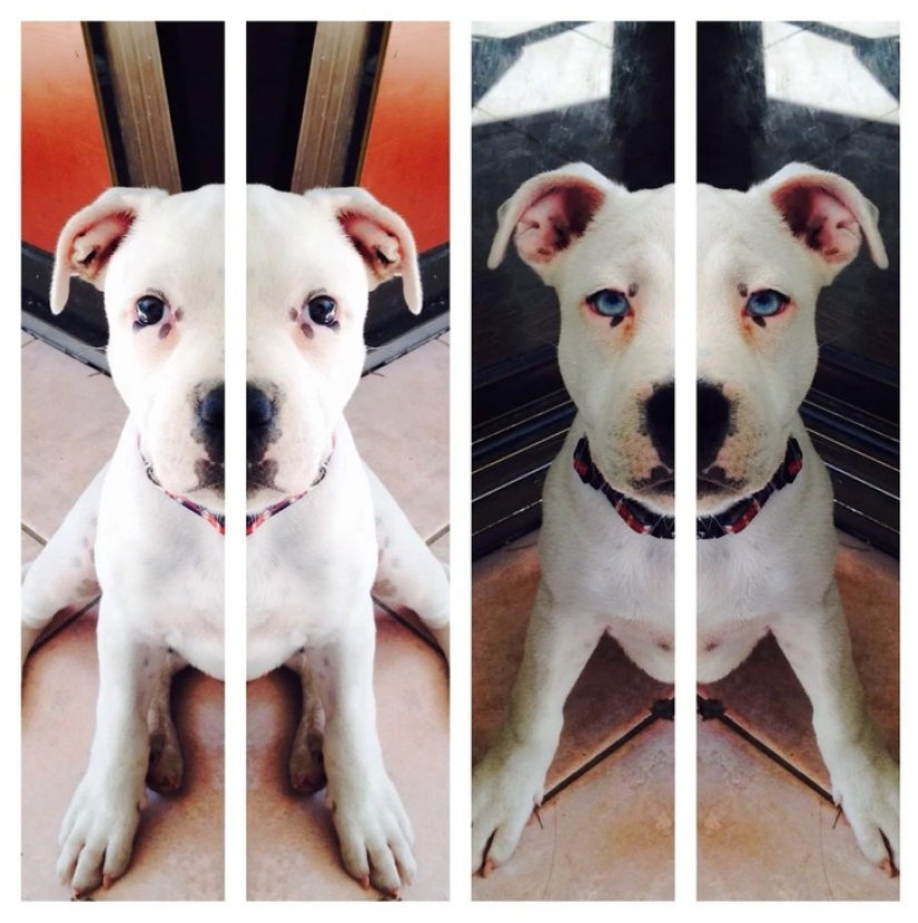 22 photos that prove that we live in the Matrix 22 photos that prove that we live in the Matrix