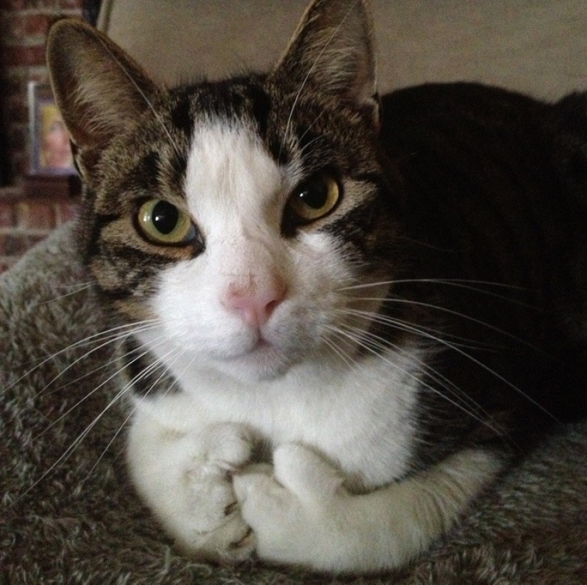 22 photos that prove that we live in the Matrix 22 photos that prove that we live in the Matrix