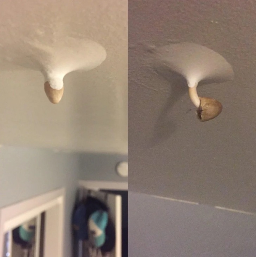 22 photos that prove that we live in the Matrix 22 photos that prove that we live in the Matrix