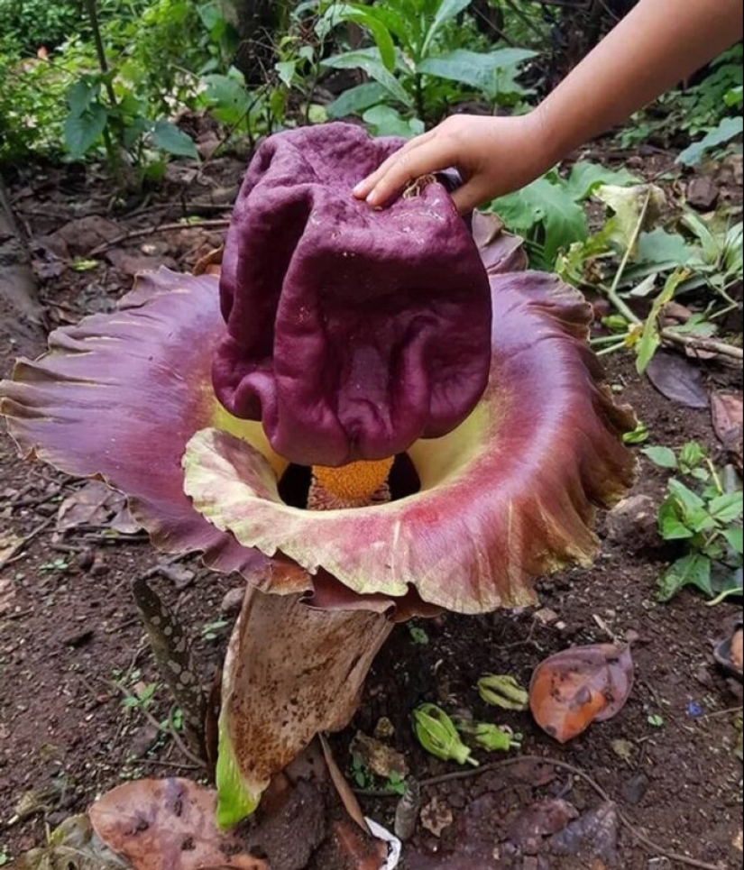 22 photos that prove that we live in the Matrix 22 photos that prove that we live in the Matrix