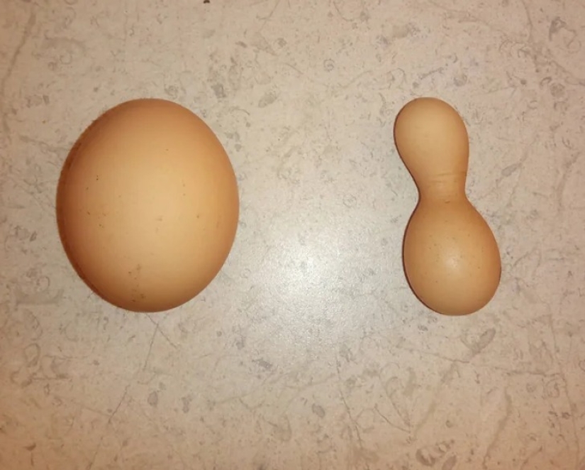 22 photos that prove that we live in the Matrix 22 photos that prove that we live in the Matrix