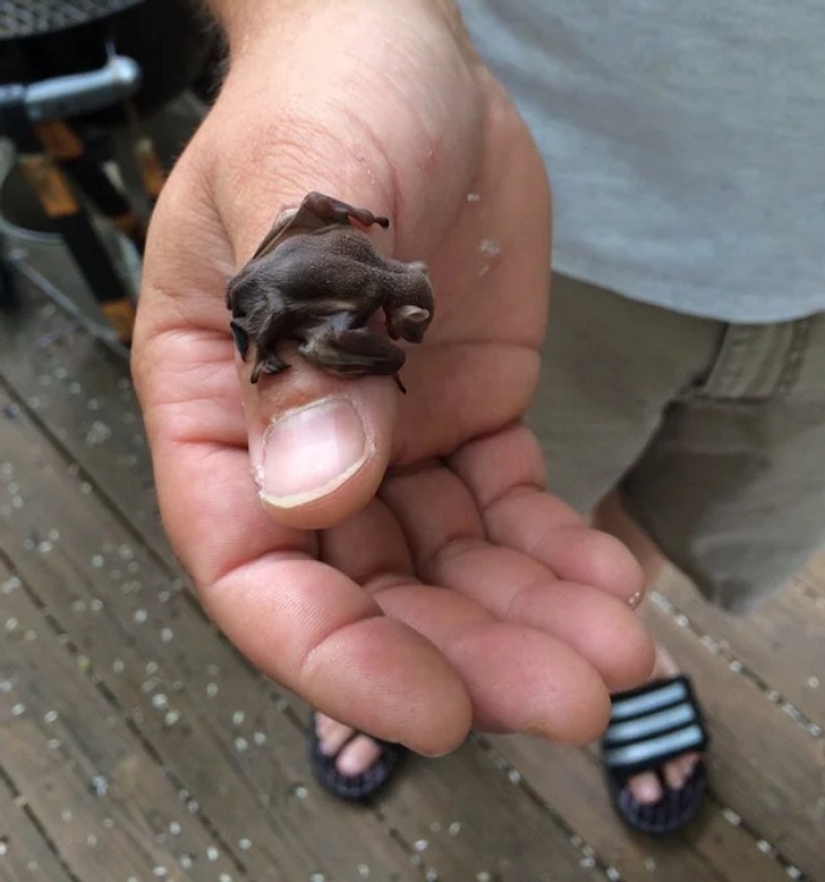 22 photos that prove that we live in the Matrix 22 photos that prove that we live in the Matrix