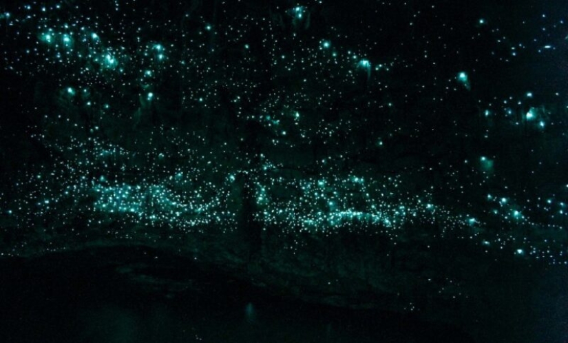 22 photos that prove that we live in the Matrix 22 photos that prove that we live in the Matrix