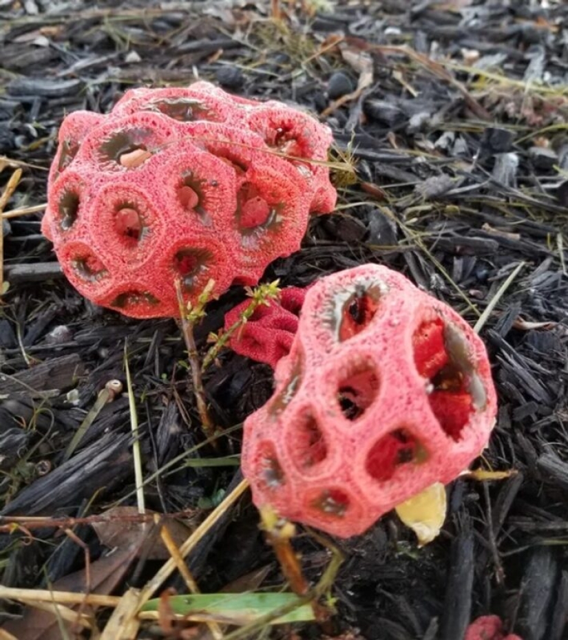 22 photos that prove that we live in the Matrix 22 photos that prove that we live in the Matrix