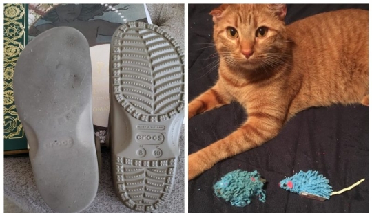 22 photos that show all the time 22 photos that show all the time