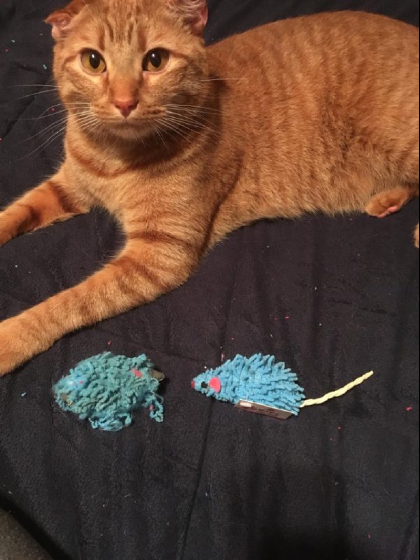 22 photos that show all the time