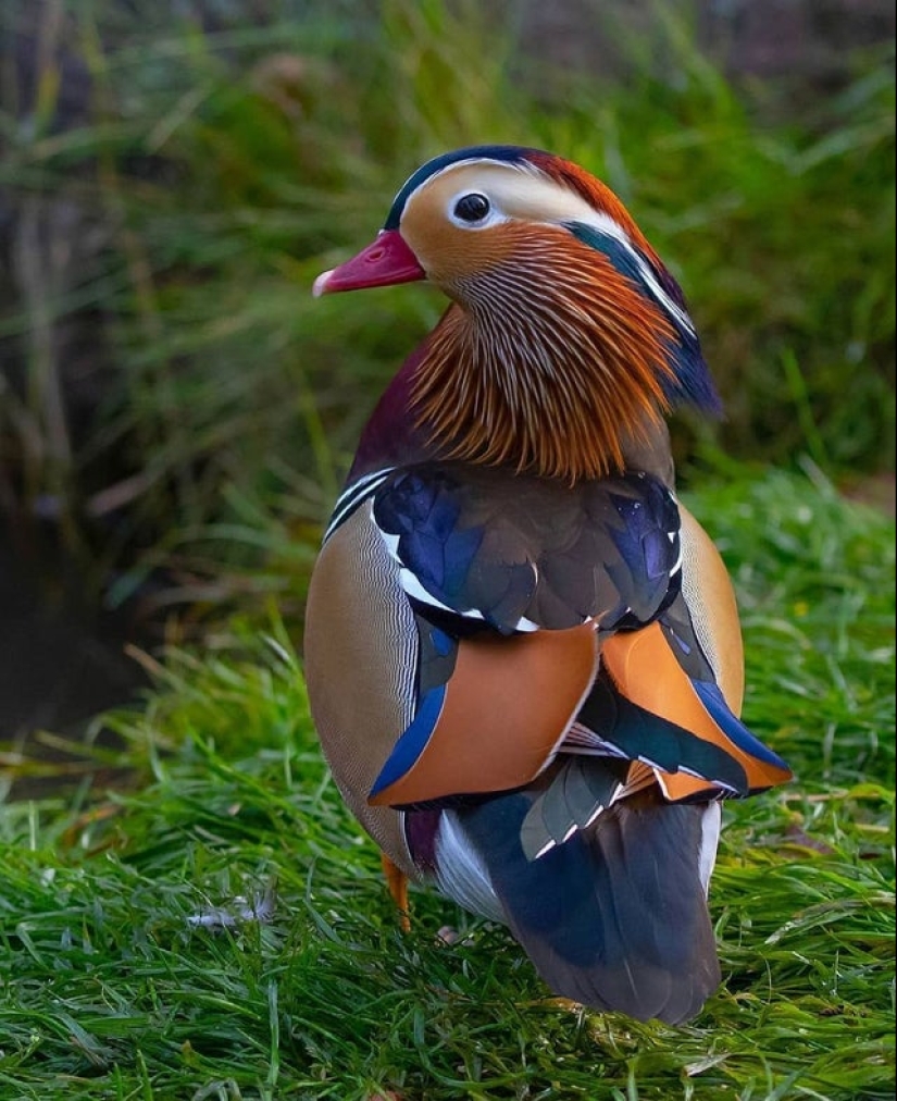 22 photos that will help you appreciate the greatness of Mother Nature 22 photos that will help you appreciate the greatness of Mother Nature