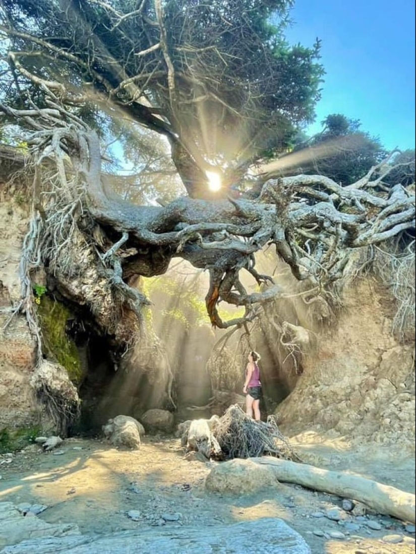 22 photos that will help you appreciate the greatness of Mother Nature 22 photos that will help you appreciate the greatness of Mother Nature