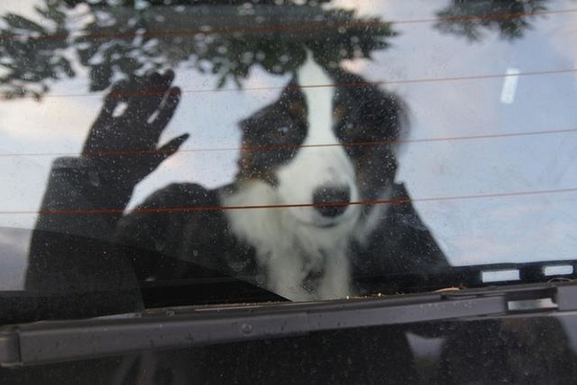 22 photos that will take your brain out before you understand what's going on here 22 photos that will take your brain out before you understand what's going on here