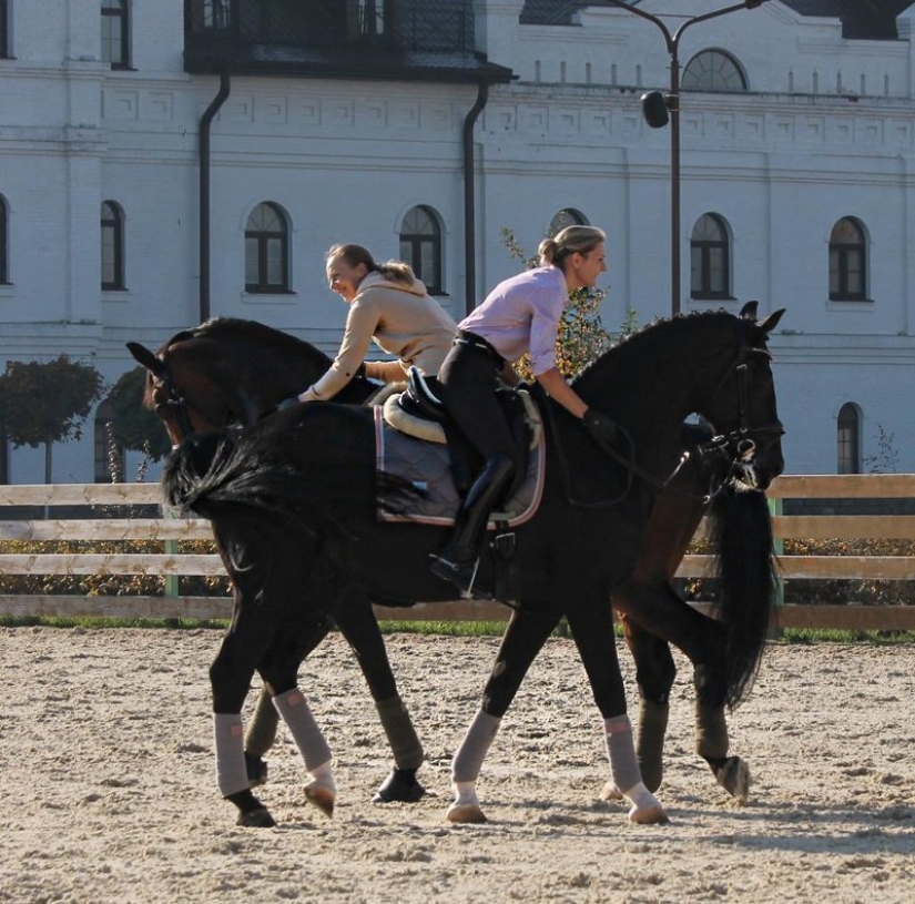 22 photos that will take your brain out before you understand what's going on here 22 photos that will take your brain out before you understand what's going on here