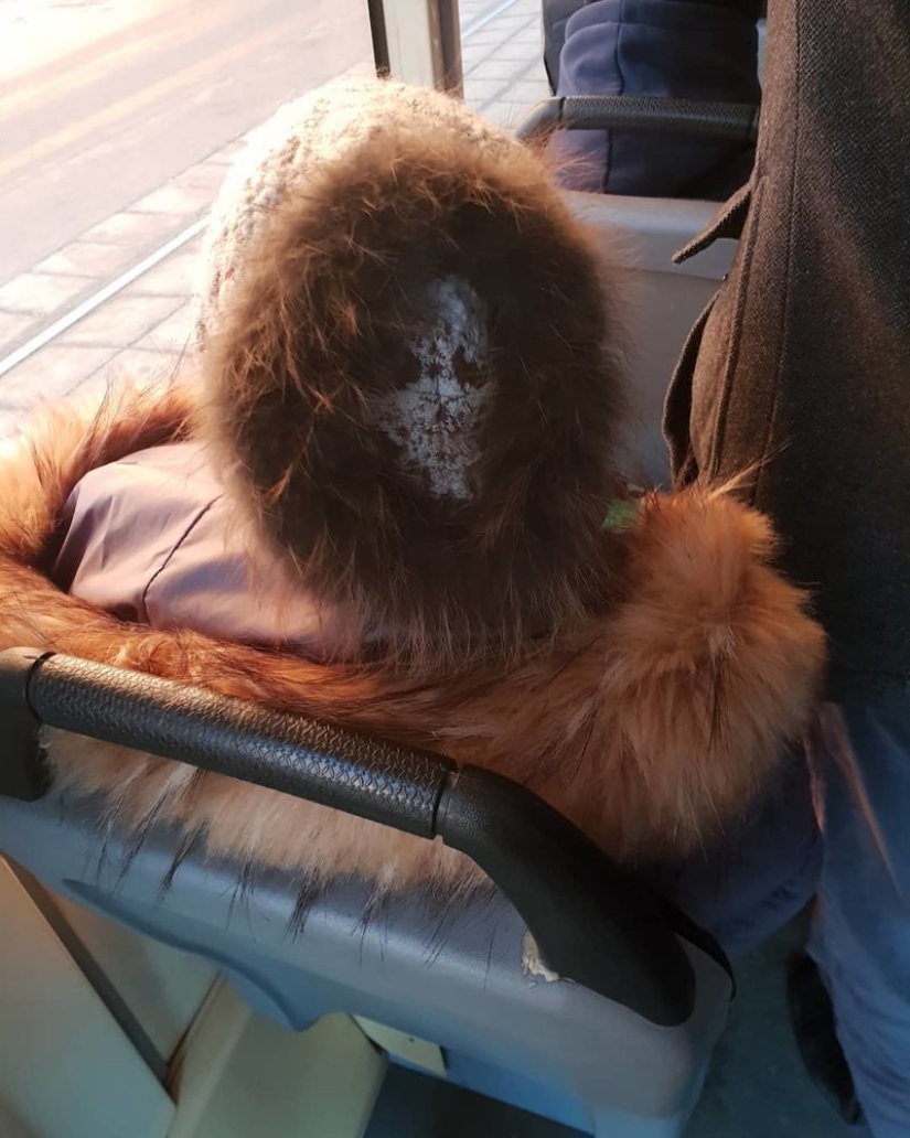 22 photos that will take your brain out before you understand what's going on here 22 photos that will take your brain out before you understand what's going on here