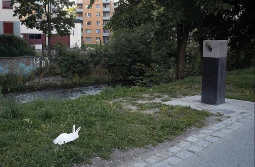 22 photos that you will have to look at twice to understand what is happening 22 photos that you will have to look at twice to understand what is happening