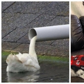 22 photos that you will have to look at from different angles