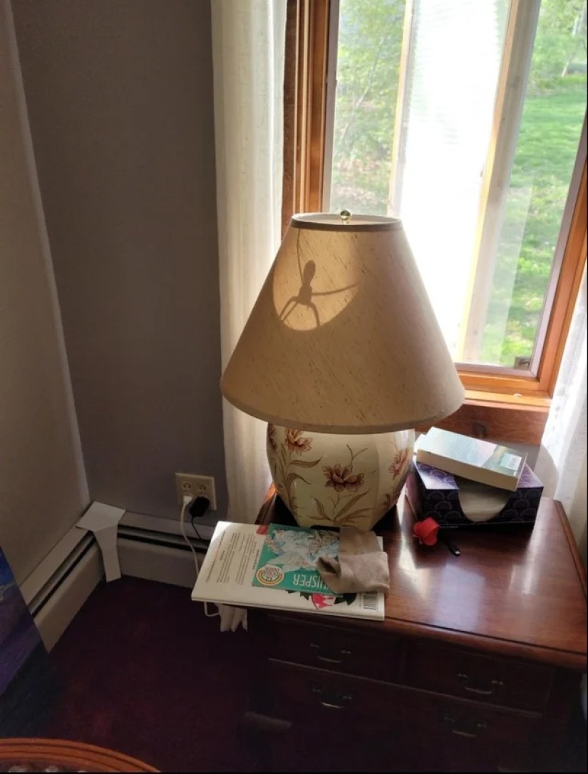 22 photos that you will have to look at twice to understand what is happening 22 photos that you will have to look at twice to understand what is happening