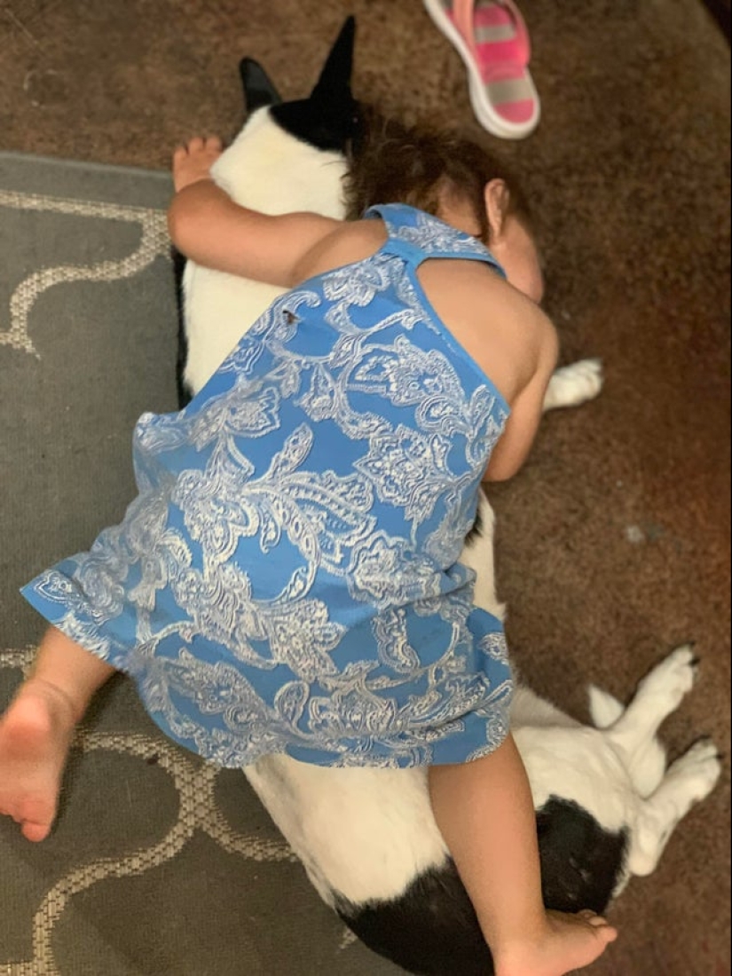 22 photos where the level of mimicry is off the scale