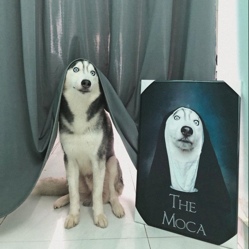 22 photos where the level of mimicry is off the scale