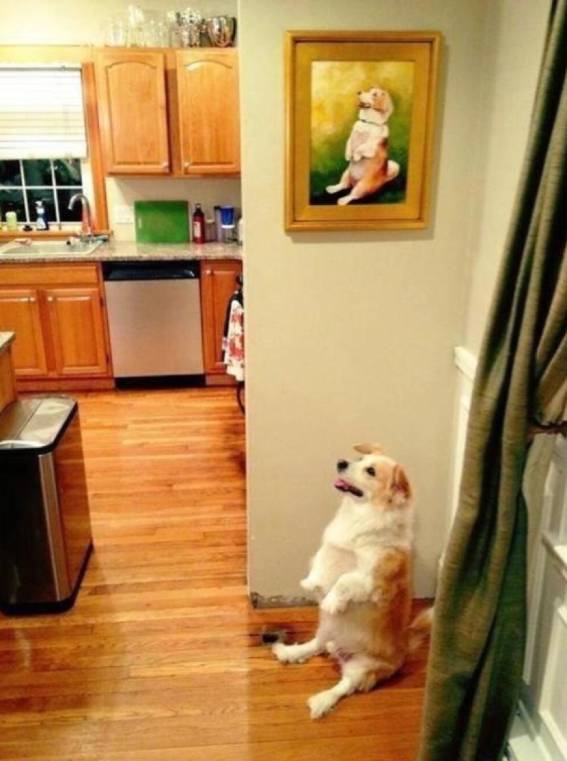 22 photos where you can't tell where life is and where art is