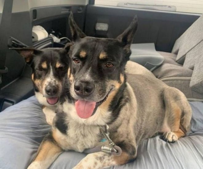 22 photos with deceptive angles that will blow your mind.