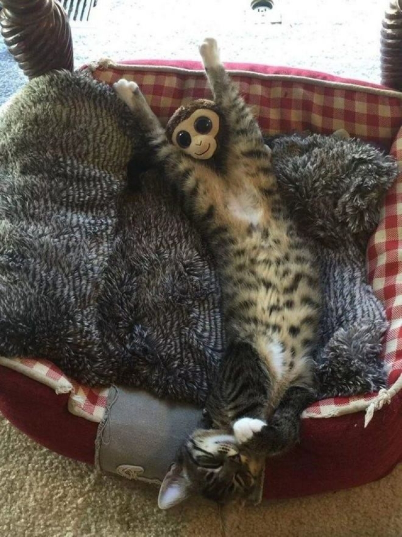 22 photos with deceptive angles that will blow your mind.