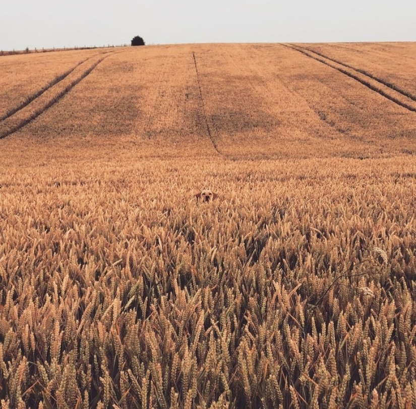 22 photos with tricks and illusions, which are so difficult to understand 22 photos with tricks and illusions, which are so difficult to understand