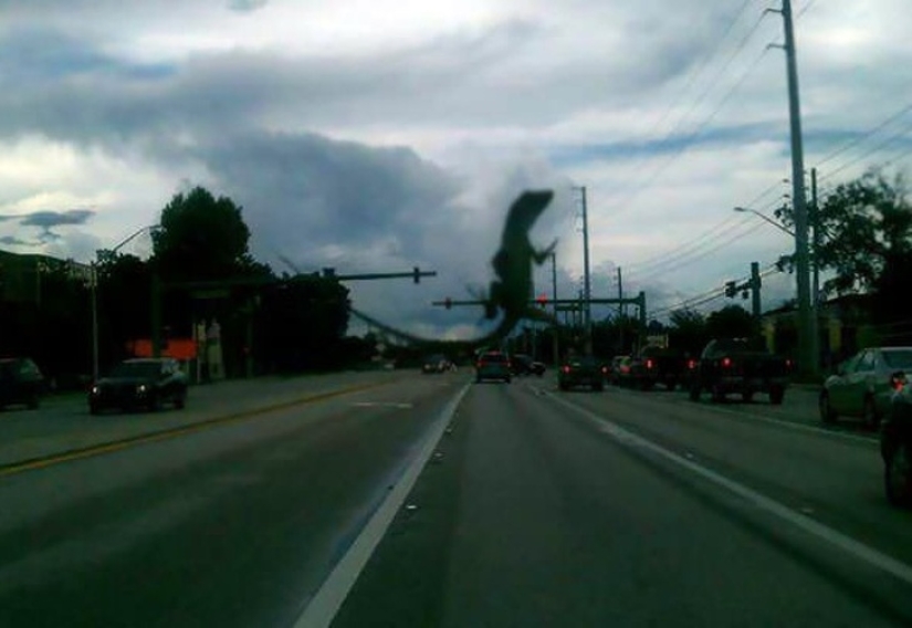 22 photos with tricks and illusions, which are so difficult to understand 22 photos with tricks and illusions, which are so difficult to understand