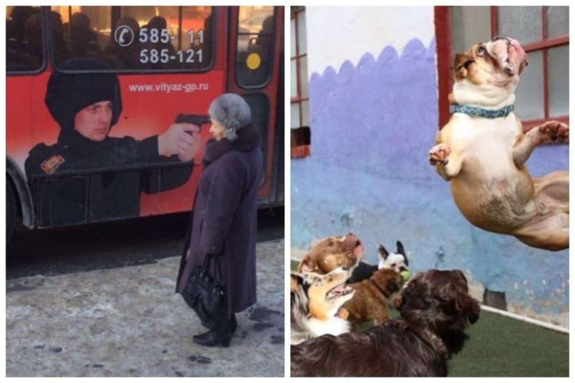 22 pictures taken at the right moment