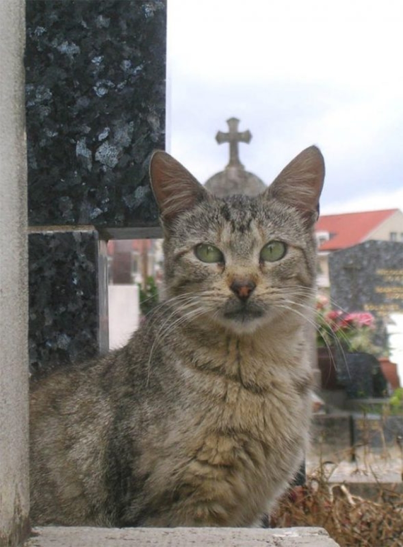 22 pictures taken at the right moment