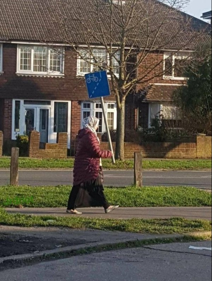 22 pictures taken at the right moment