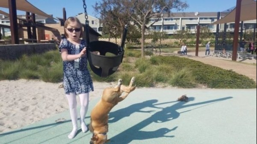 22 pictures taken at the right moment