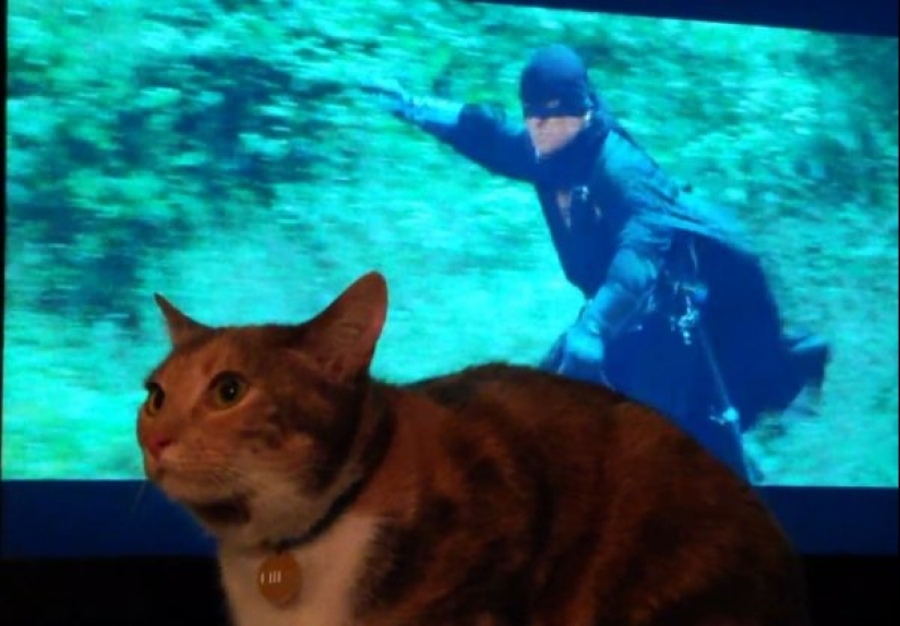 22 pictures taken at the right moment