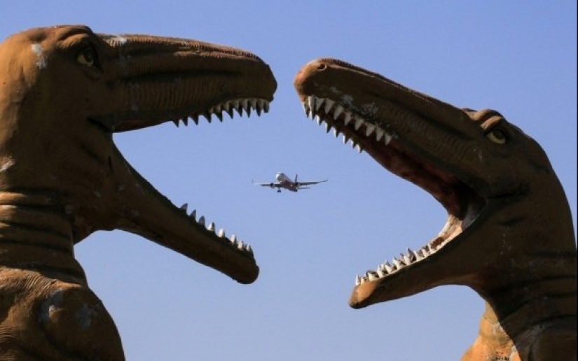 22 pictures taken at the right moment