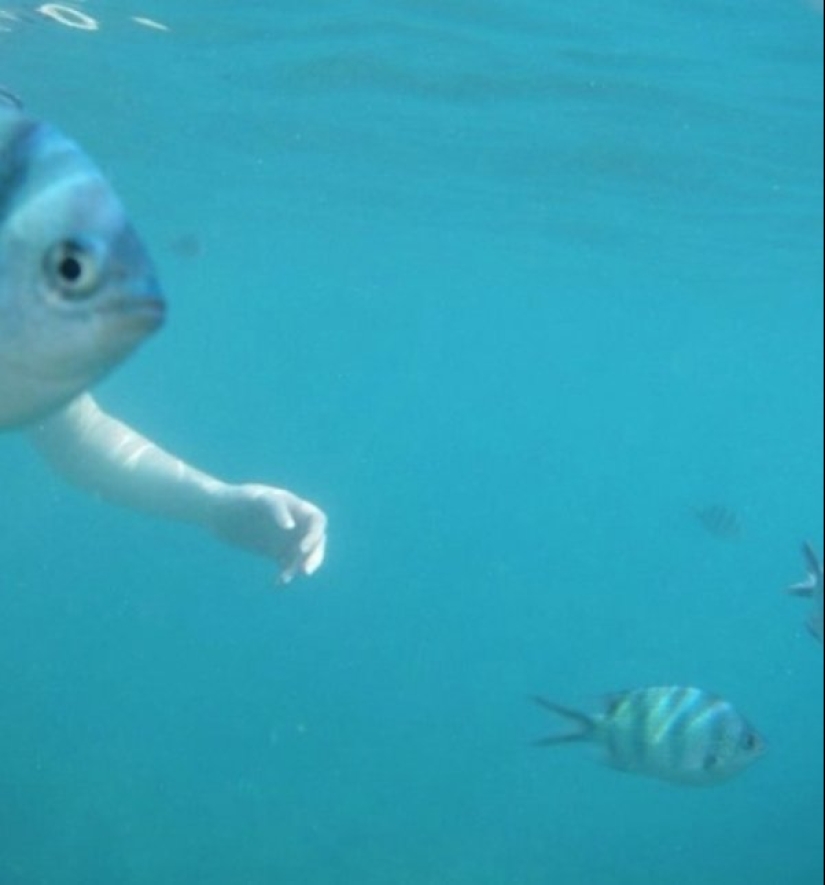 22 pictures taken at the right moment