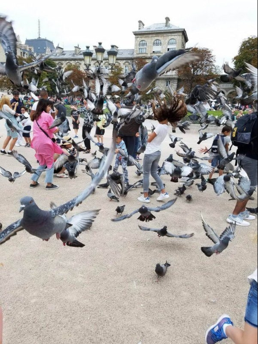 22 pictures taken at the right moment