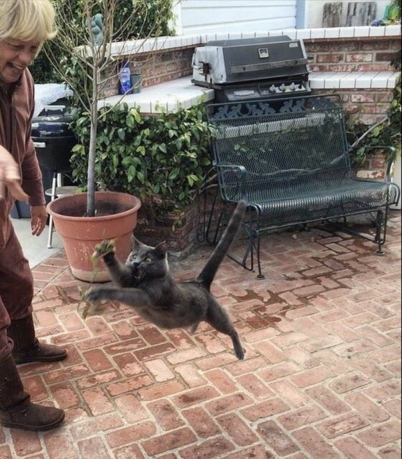 22 pictures taken at the right moment