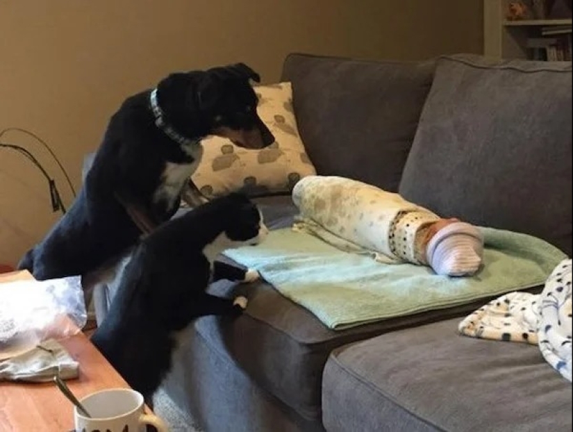 22 proofs that happiness is everywhere! The main thing is to be able to notice it 22 proofs that happiness is everywhere! The main thing is to be able to notice it