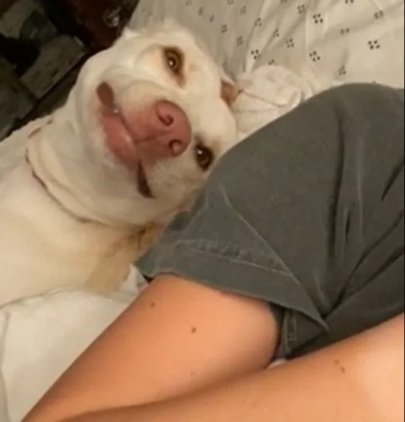 22 proofs that happiness is everywhere! The main thing is to be able to notice it 22 proofs that happiness is everywhere! The main thing is to be able to notice it