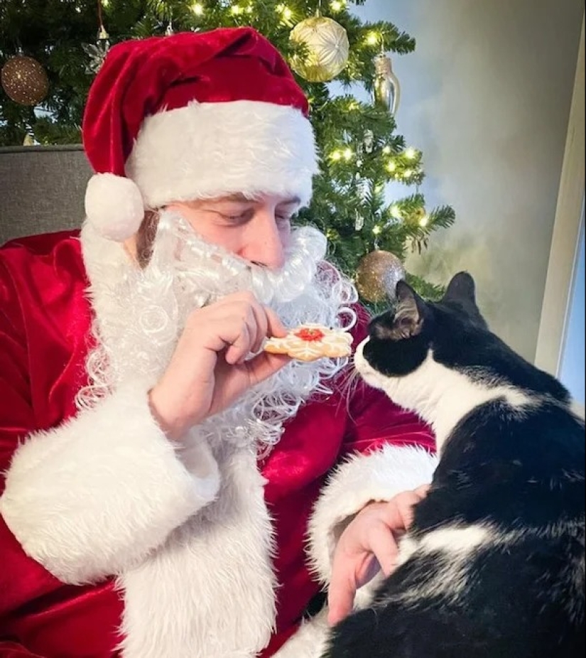 22 proofs that happiness is everywhere! The main thing is to be able to notice it 22 proofs that happiness is everywhere! The main thing is to be able to notice it