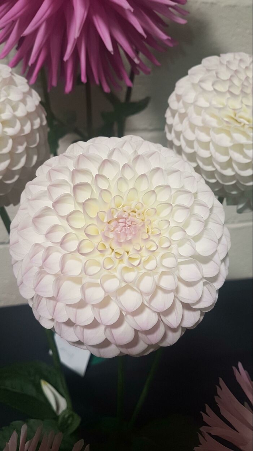 22 proofs that nature is the most talented artist 22 proofs that nature is the most talented artist