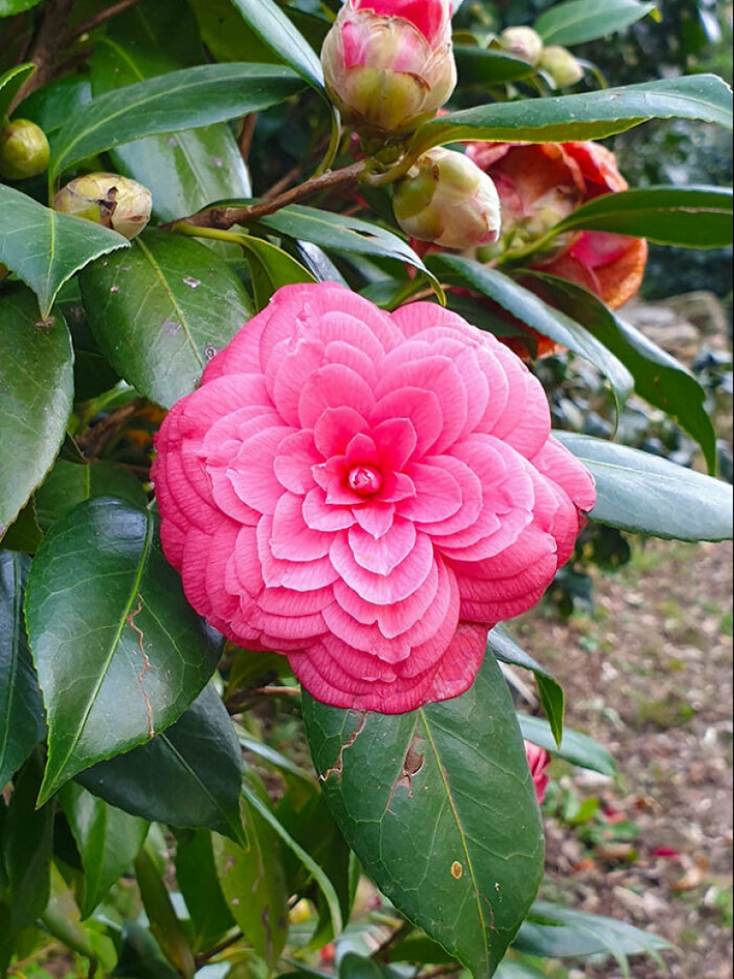 22 proofs that nature is the most talented artist 22 proofs that nature is the most talented artist