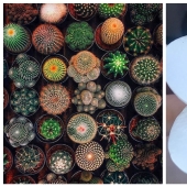 22 proofs that nature is the most talented artist