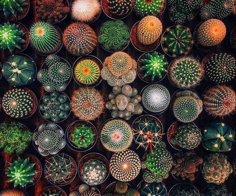 22 proofs that nature is the most talented artist 22 proofs that nature is the most talented artist