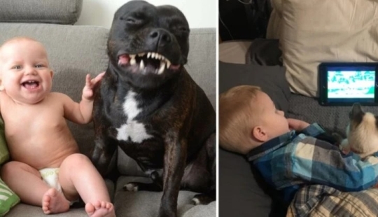 22 proofs that no child should grow up without a pet