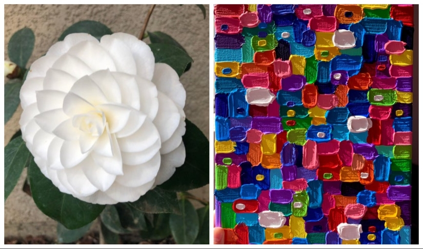 22 proofs that perfection can manifest itself even in small things 22 proofs that perfection can manifest itself even in small things