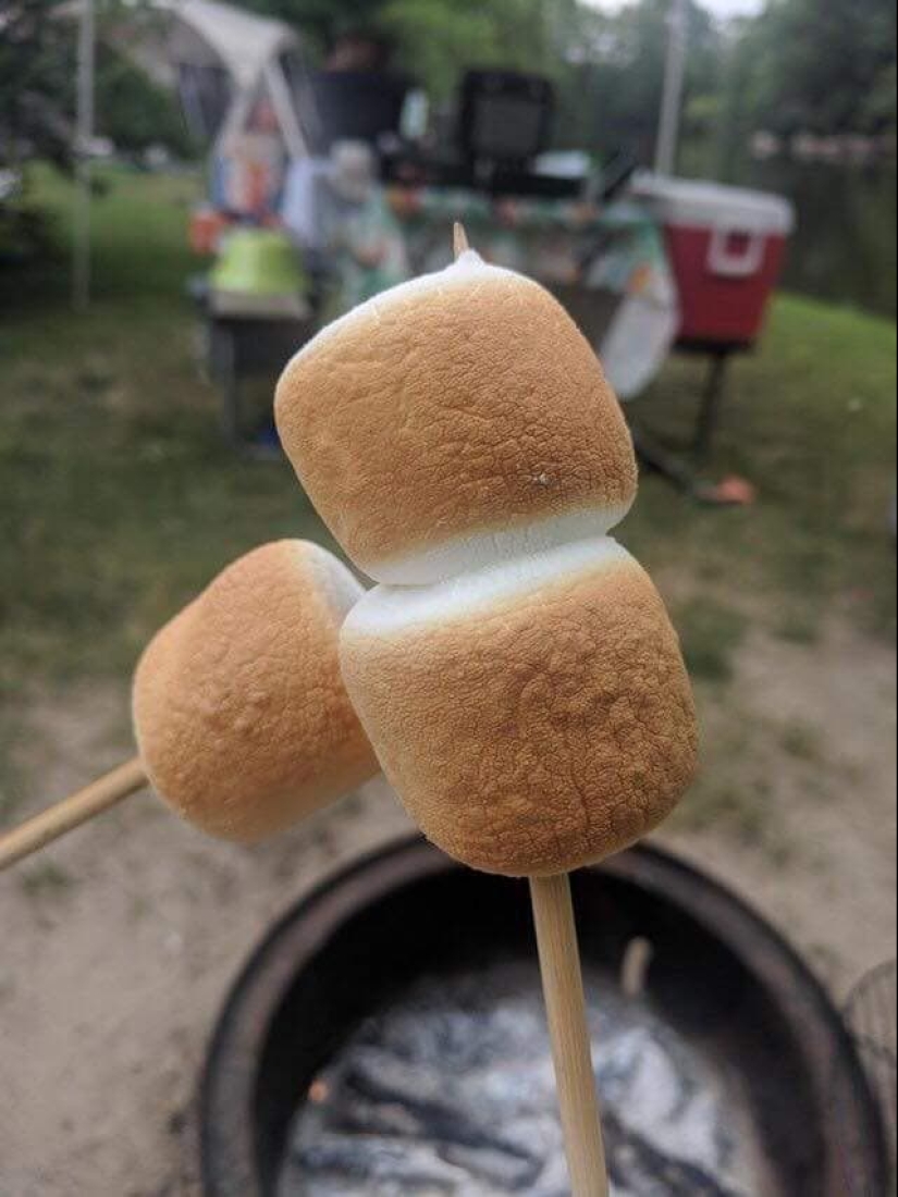 22 proofs that perfection can manifest itself even in small things 22 proofs that perfection can manifest itself even in small things