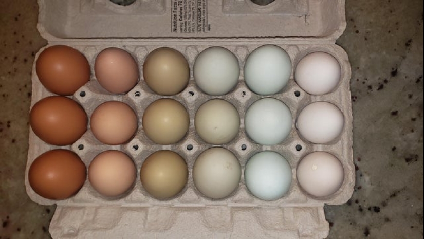 22 proofs that perfection can manifest itself even in small things 22 proofs that perfection can manifest itself even in small things