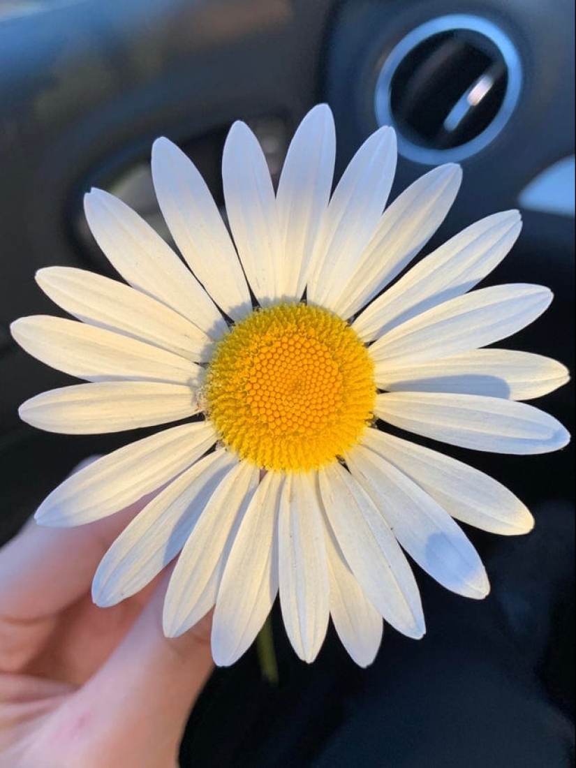 22 proofs that perfection can manifest itself even in small things 22 proofs that perfection can manifest itself even in small things