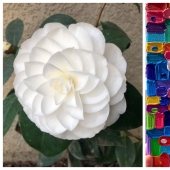 22 pruebas de que la naturaleza es el artista más talentoso