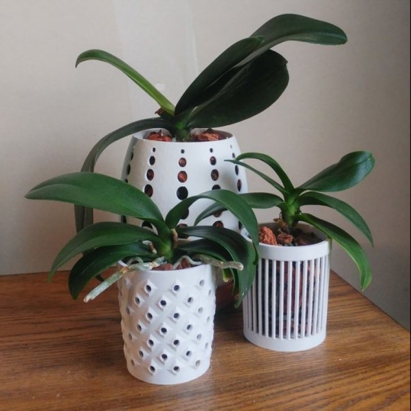 22 pruebas de que una impresora 3D puede realizar cualquier fantasía 22 pruebas de que una impresora 3D puede realizar cualquier fantasía