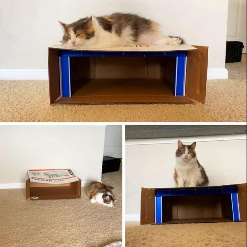 22 pruebas de que una impresora 3D puede realizar cualquier fantasía 22 pruebas de que una impresora 3D puede realizar cualquier fantasía